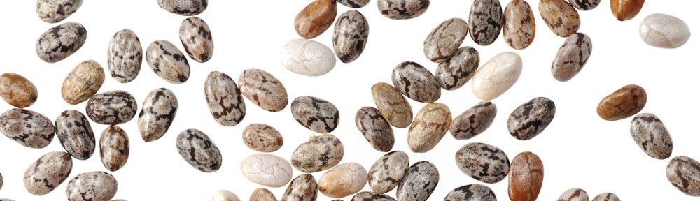 Chia Seeds Rock